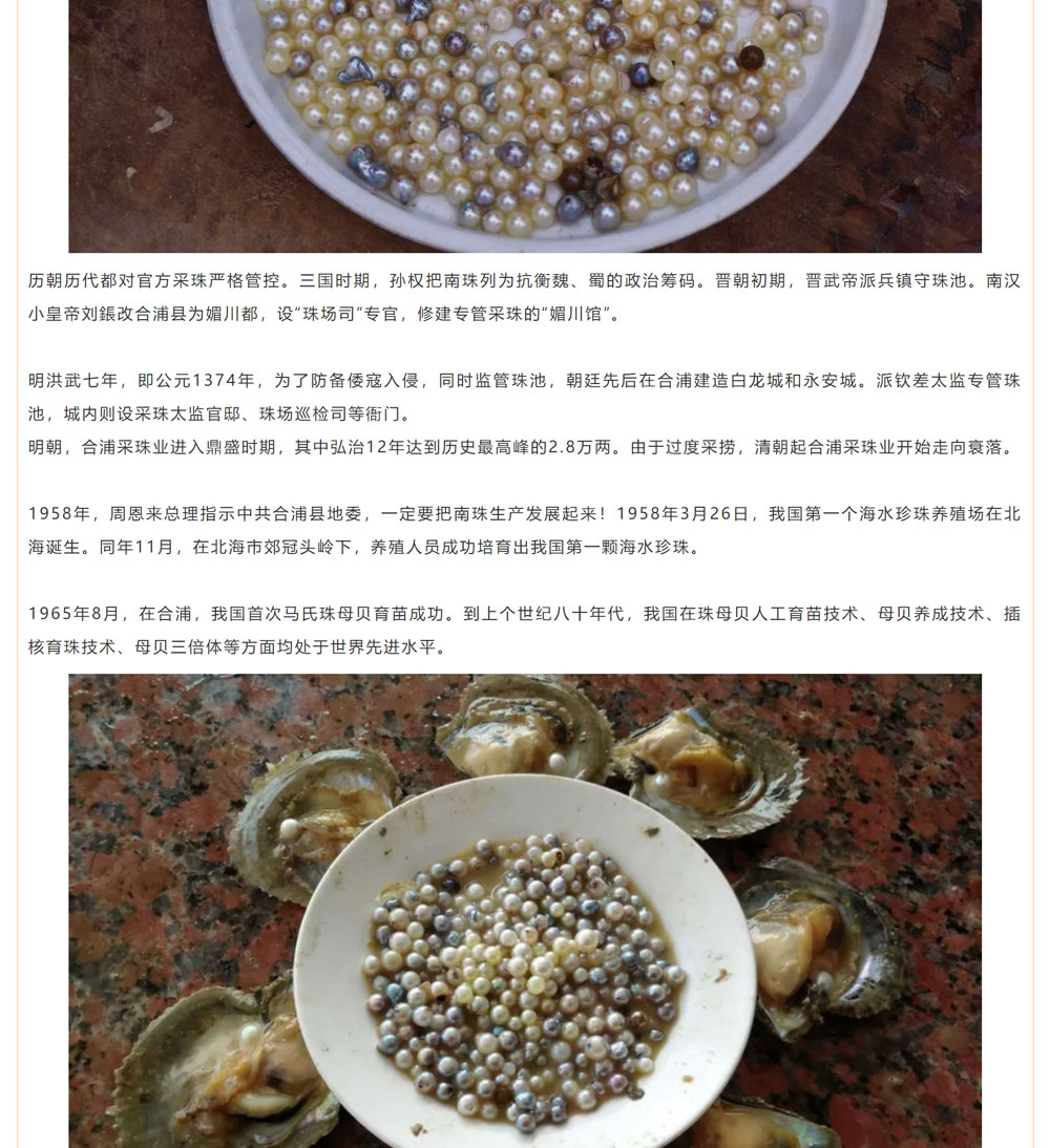 古老南珠，綻放異彩