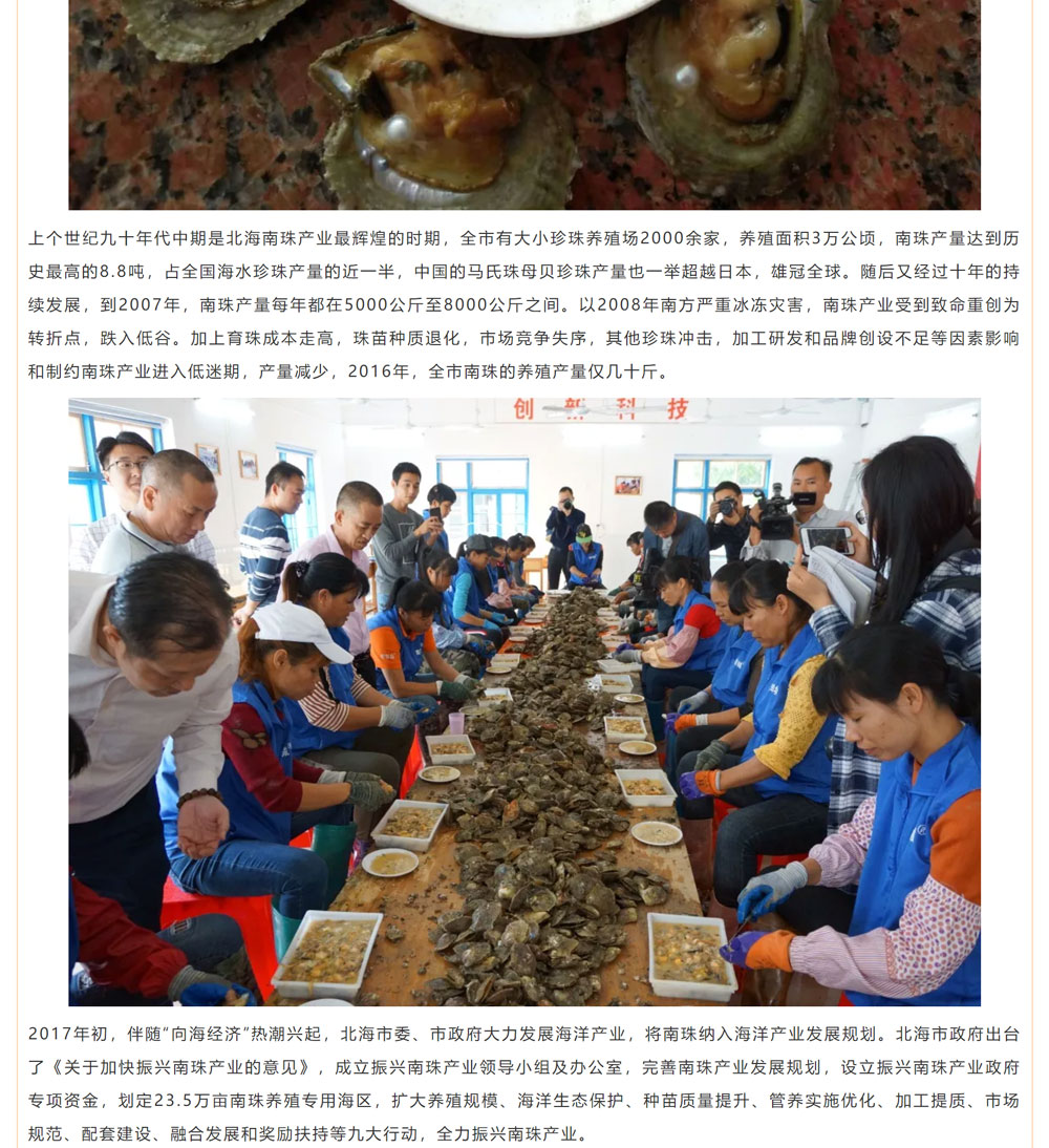 古老南珠，綻放異彩