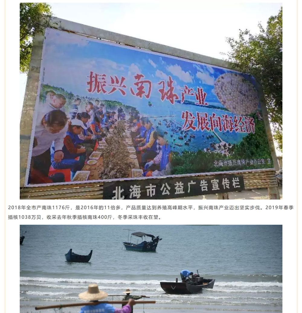 古老南珠，綻放異彩